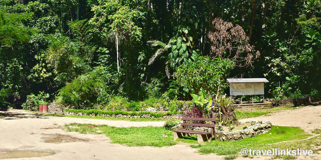Botanical Gardens: Top things to do in Solomon Islands
