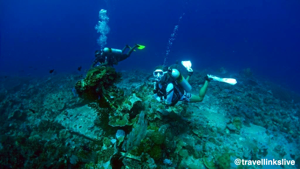 Dive Munda: Top THings to do in Solomon Islands