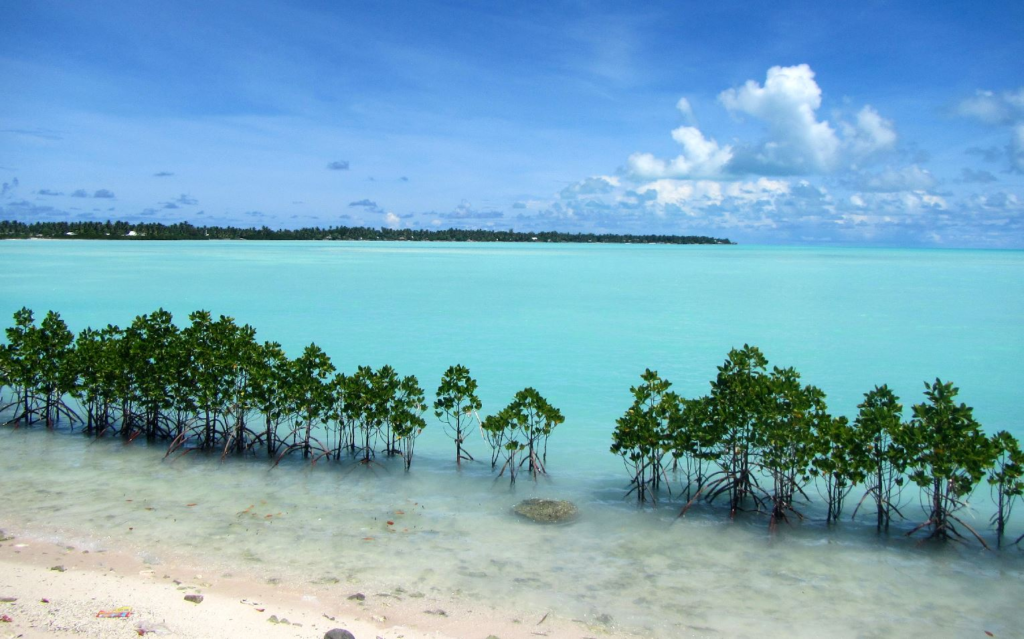 Kiribati Diving and Snorkelling