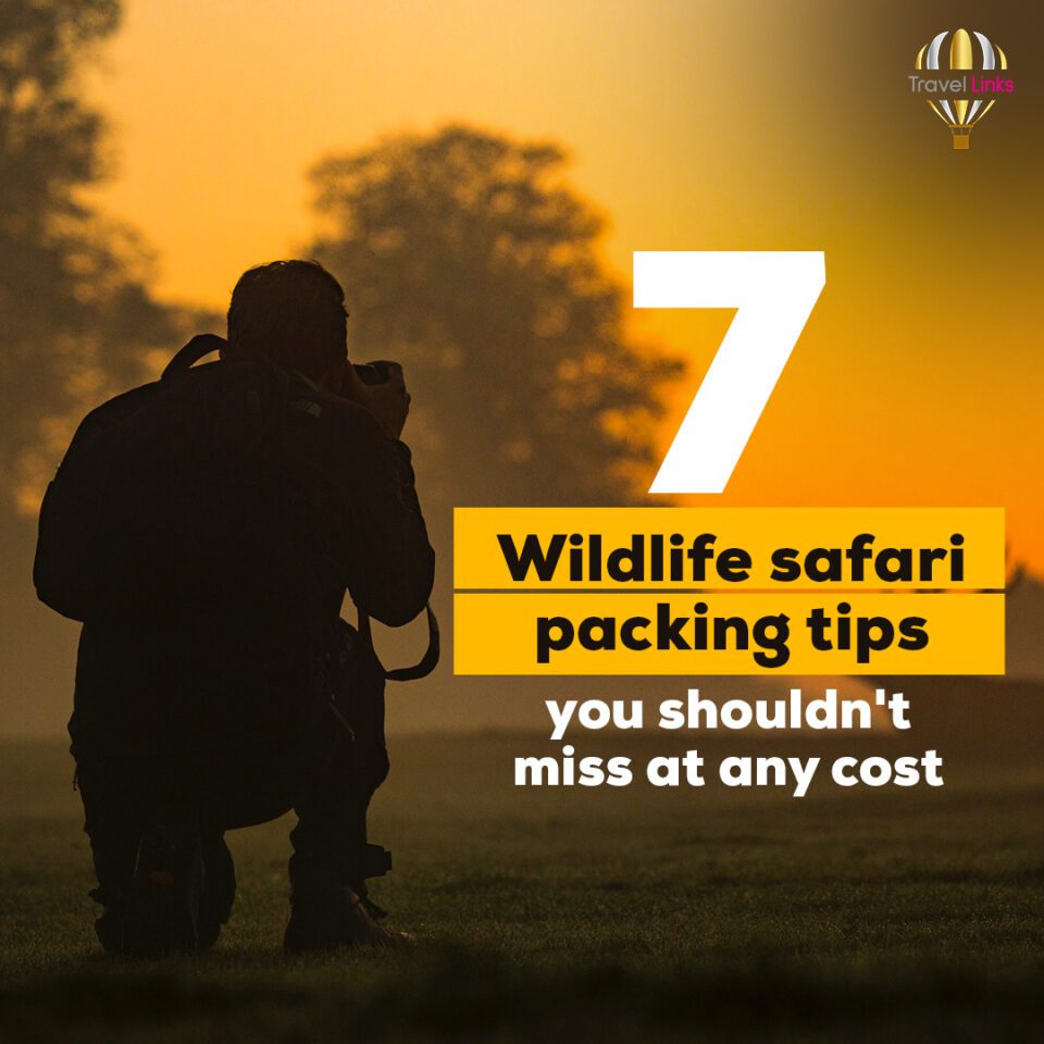 7 Wildlife safari packing tips you shouldn't miss at any cost