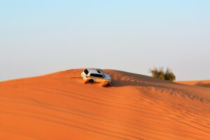 Desert Safari | Top Luxury PLaces to Travel in Dubai | Travel Links Magazine | Top Travel Magazine of India 